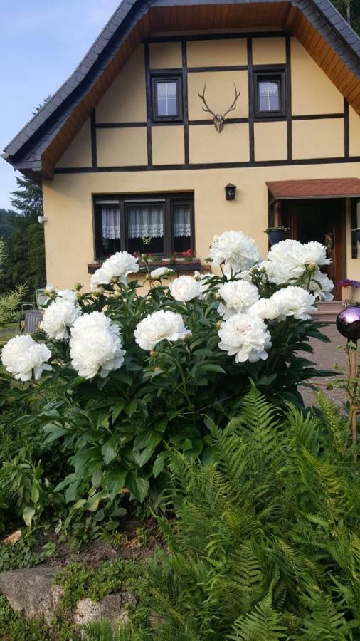 Birkenhain Stolberg i. Harz Екстериор снимка