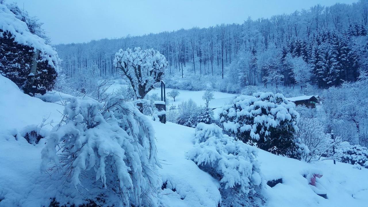 Birkenhain Stolberg i. Harz Екстериор снимка